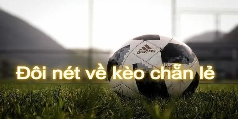 Kèo chẵn lè cũng được chia thành nhiều loại khác nhau để người chơi lựa chọn