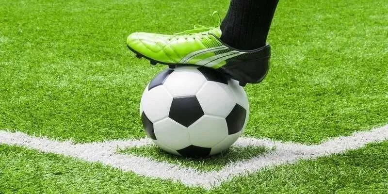 Bỏ túi những dấu hiệu chuẩn nhận biết kèo thơm