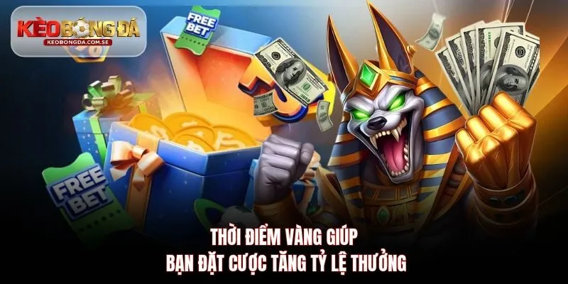 Thời điểm vàng giúp bạn đặt cược tăng tỷ lệ thưởng