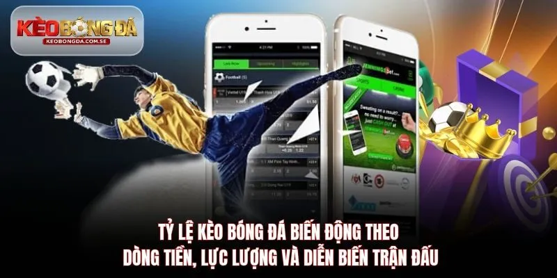 Tỷ lệ kèo bóng đá biến động theo dòng tiền, lực lượng và diễn biến trận đấu